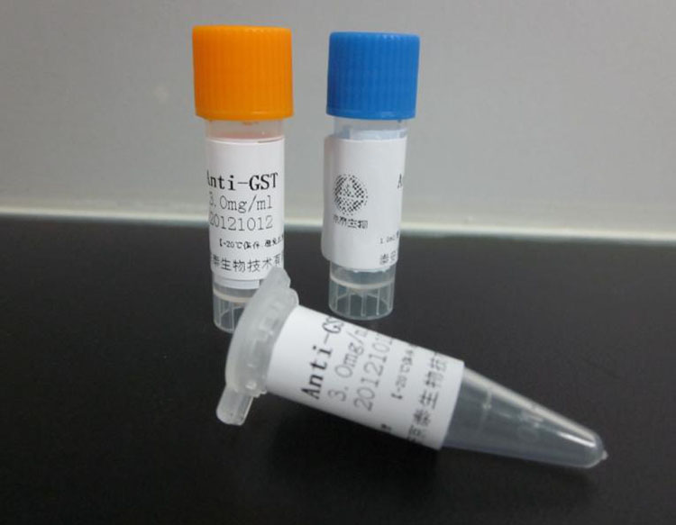 冷鏈保存國(guó)際快遞：打破距離的“保鮮密碼”